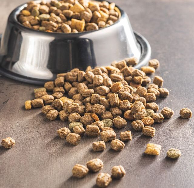 Is Limited Ingredient Cat Food Better?
